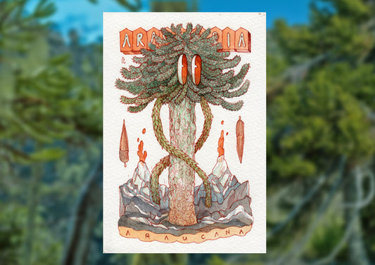 Postcard Prints from South America