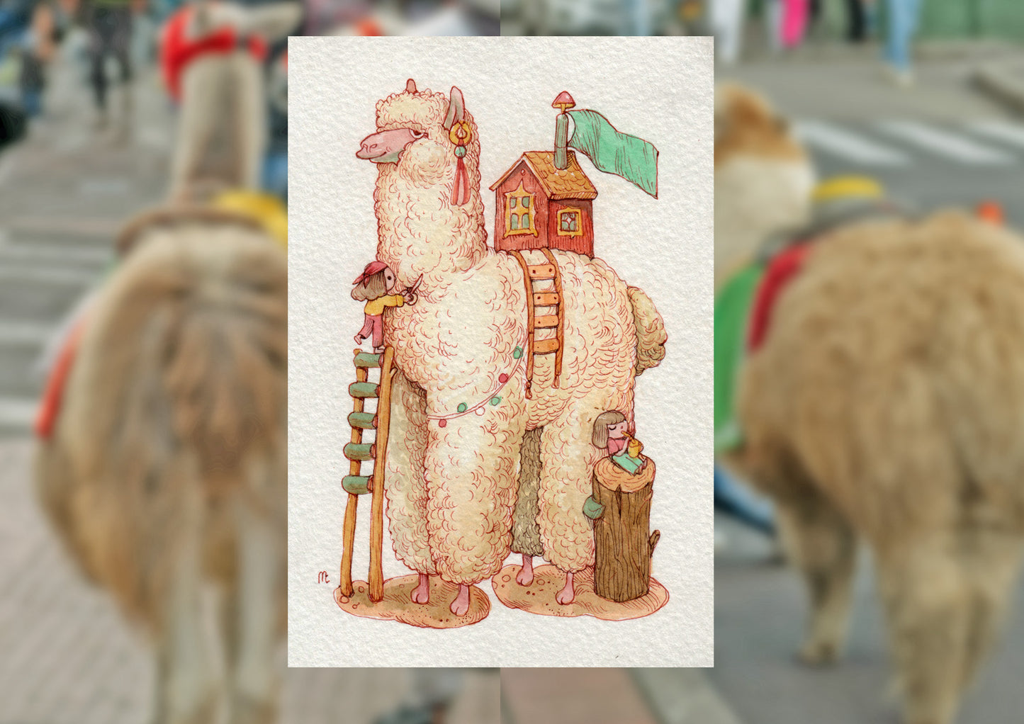 Postcard Prints from South America