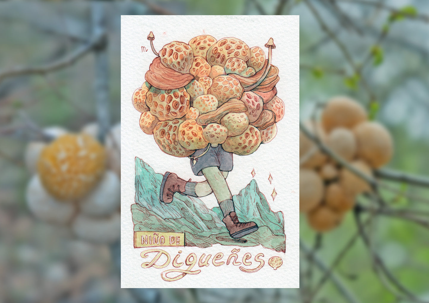 Postcard Prints from South America