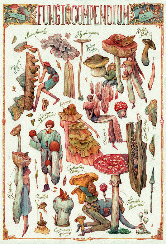Fungi Compendium