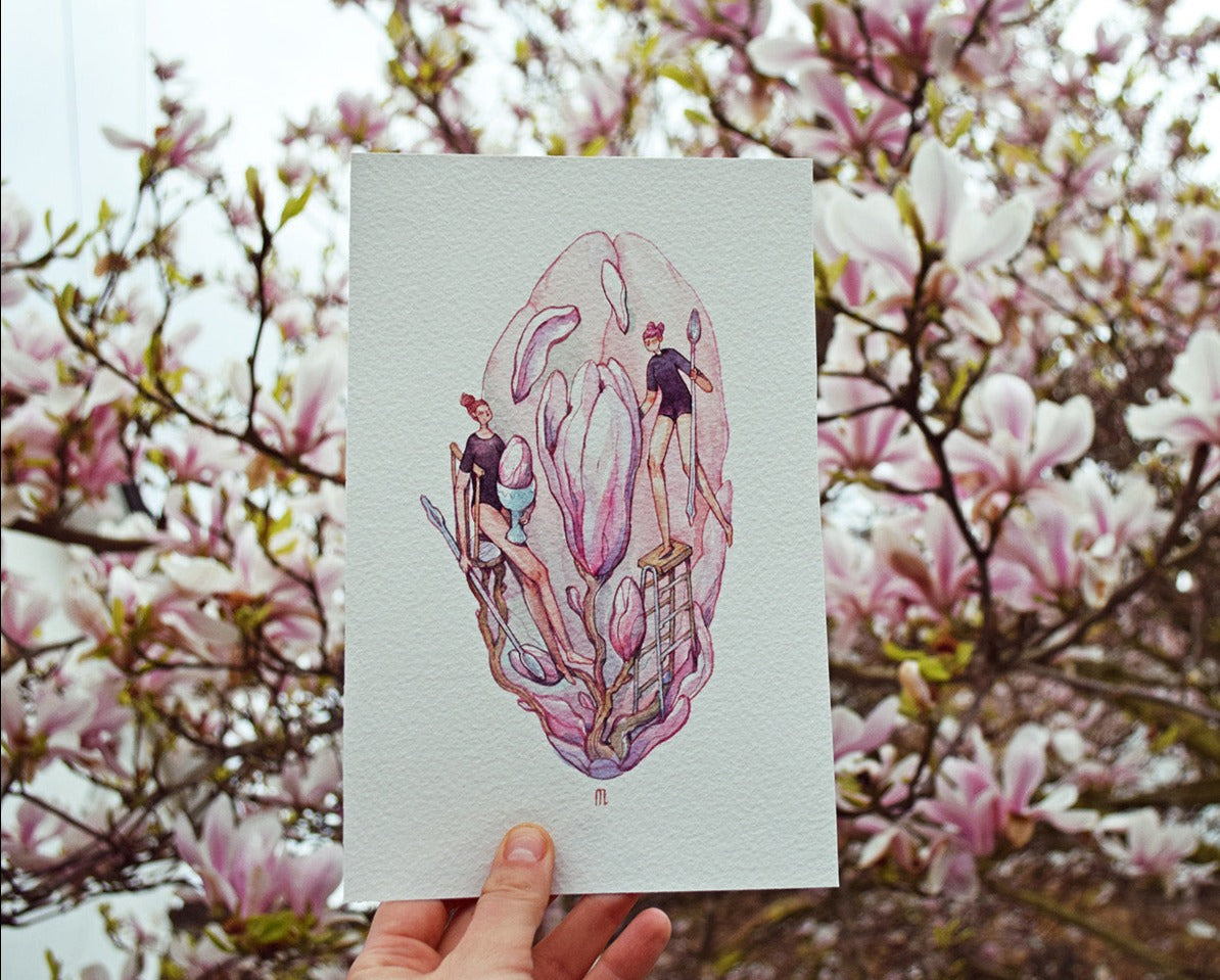 Magnolia