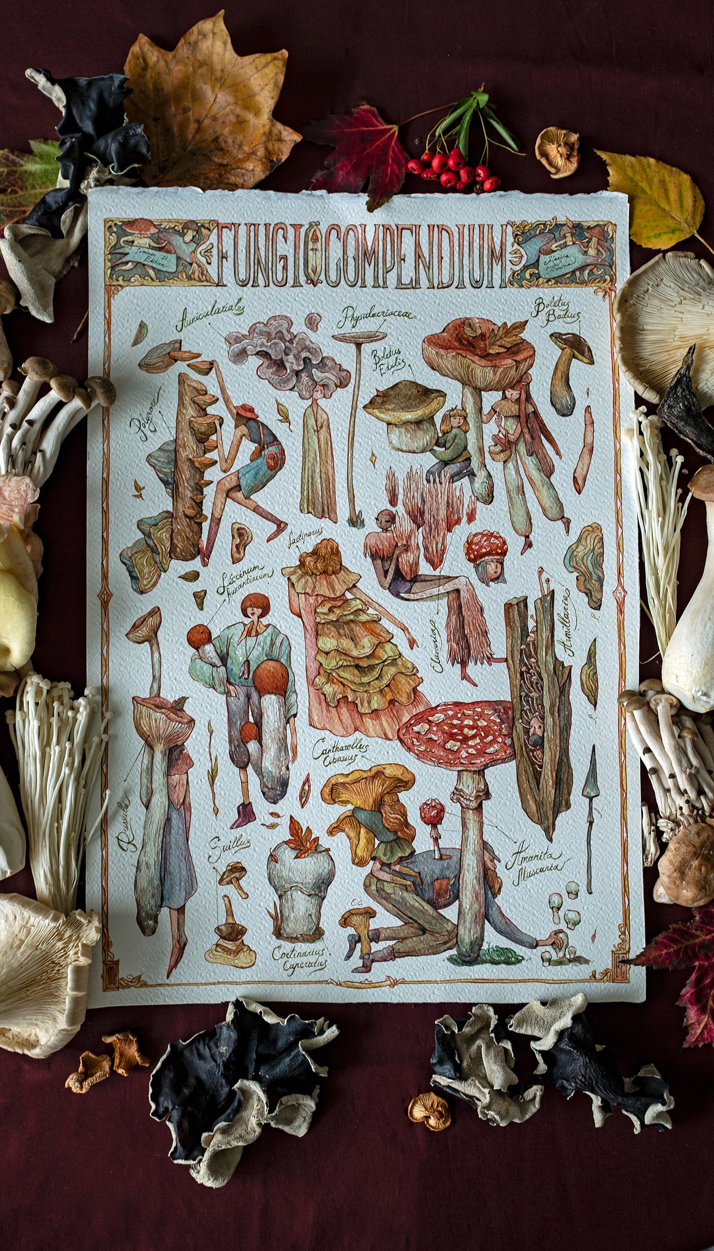 Fungi Compendium